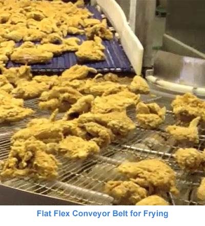 Flat Flex Conveyor Belt for frying