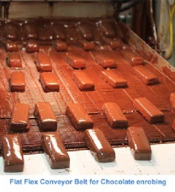 Flat Flex Conveyor Belt for Chocolate