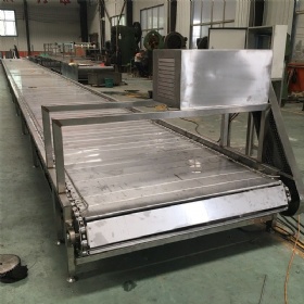 Stainless Steel Chain Plate Link Conveyor
